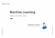 Machine Learning as a Daily Work for a Programmer- Volodymyr Vorobiov