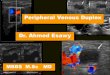 12 peripheral venous duplex  pitfalls differential diagnosis dvt dr ahmed esawy