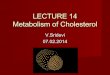 metabolism of cholesterol