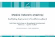 Mobile network sharing : Facilitating deployment of mobile broadband