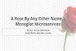 YOW West 2016: "A Rose By Any Other Name: Monoglot Microservices"