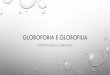 Globofobia e globofilia: interpretazioni a confronto. Slide del seminario di Elia Zaru