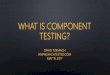 What is component testing | David Tzemach