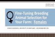 Fine-tuning breeding animal selection for your farm: females
