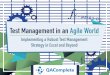 Test management-in-agile