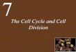 Ch07 lecture the cell cycle and cell division