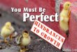 You Must Be Perfect: Hindrances to Growth