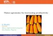 Maize agronomy for increasing productivity