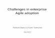 Challenges in enterprise agile adoption