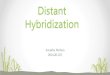 DISTANT HYBRIDISATION BY ANAKHA MOHAN PLANT BREEDING