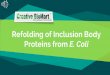 Refolding of inclusion body proteins from e. coli
