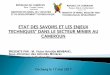Reforme du secteur minier camerounais. PRESENTE PAR : M. Victor Aristide MIMBANG,
