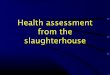 Health assessment from the slaughterhouse