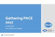 Gathering PACE 2017