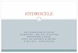 Hydrocele Seminar - A comprehensive review of literature