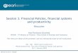 Ana Gouveia - Financial Policies, financial systems and productivity - Discussion