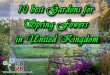 10 best gardens for spring flowers in united kingdom