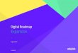 Digital Roadmap: Expansion