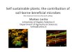 Self Sustainable Plants: the contribution of soil-borne beneficial microbes