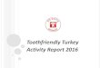 Di̇ş Dostu Turkey, Toothfriendly Turkey  2016 activity report