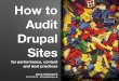 How to audit Drupal Sites for performance, content and best practices