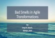 Bad Smells in Agile Transformations