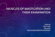 Muscles of mastication presentation