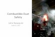 Combustible Dust Safety 2017