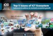 Top 5 ICT Issues for Indonesia to address