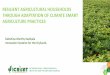 Resilient agricultural households through adaptation of climate smart agriculture practices- By Dr Dakshina Murthy Kadiyala, Innovation Systems for the Drylands, ICRISAT