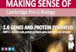 Cambridge Pre-U Biology - 1.6 Genes and Protein Synthesis PART 1 Sample