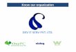 DEV IT Group companies profile V2.1