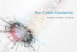 The Cyber Pandemic - Jay bavisi
