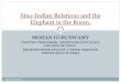 Sino-Indian Relations and the Elephant in the Room
