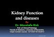 Kidney Functionand diseases