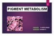 Pigment metabolism