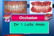 Dr laila Amin (occlusion2)