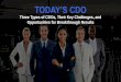Today's Chief Data Officer: 3 Types of CDOs, Key Challenges, and Opportunities for Breakthrough Results
