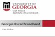 Georgia Broadband Survey