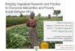 Abdou Tenkouano Bridging Vegetable Research