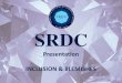 SRDC - Inclusions and Blemishes
