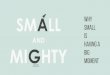 Small And Mighty: Why Small is Having A Big Moment