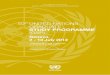 2012 UN Graduate Study Programme