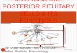 ANTERIOR AND POSTERIOR PITUITARY CELLS AND ITS FUNCTIONS