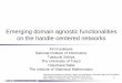 Emerging domain agnostic functionalities on the handle-centered networks