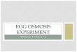angela816 Egg Osmosis Experiment