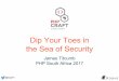 Dip Your Toes in the Sea of Security (PHP South Africa 2017)