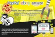 Currency exchange scandal by pay pal, amazon and ebay with millions in iranian rial sales