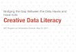 Creative Data Literacy: Bridging the Gap Between Data-Haves and Have-Nots