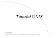 Tutorial UNIX - · PDF fileUNIX Básico Centro Nacional de Cálculo de la Universidad de Los Andes, Mérida - Venezuela Como entrar y salir del sistema operativo Debido a que UNIX